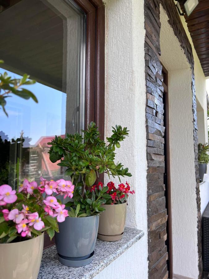 Casa Helen Insurance&Tourism Guest House Galautas Exterior photo