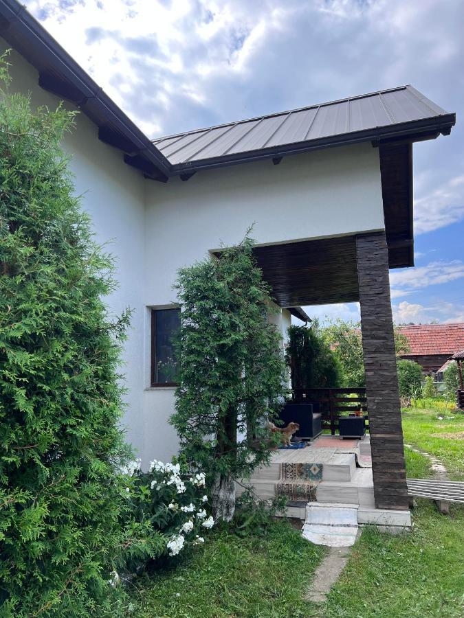 Casa Helen Insurance&Tourism Guest House Galautas Exterior photo
