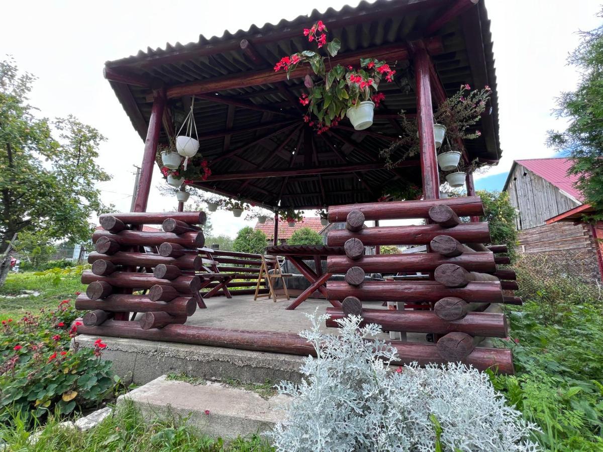Casa Helen Insurance&Tourism Guest House Galautas Exterior photo